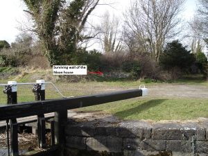 A contemporary photo of the remains of the Nixon house. A wall peeks out from below a tangle of ivy and hedgerow.